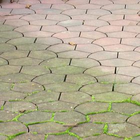 Terrassenreinigung von Algen und Flechten