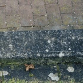 Flechten von Gehwegen, Terrassen und anderen Steinoberflächen entfernen