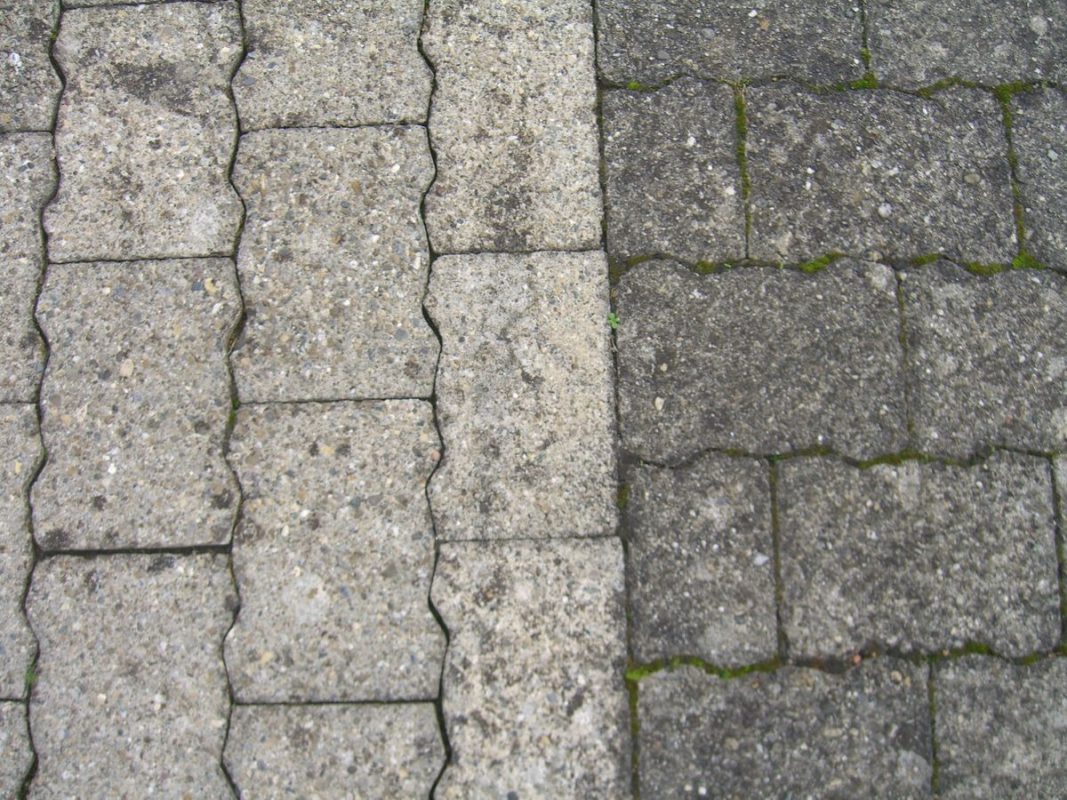 Bild #85 von Eveline