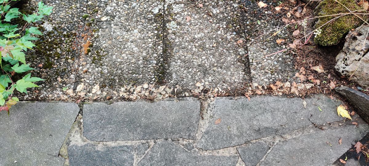 Bild Nr. 4 von Rainer B.