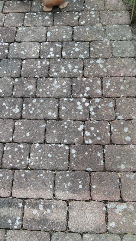 Bild #50 von Bodo S.