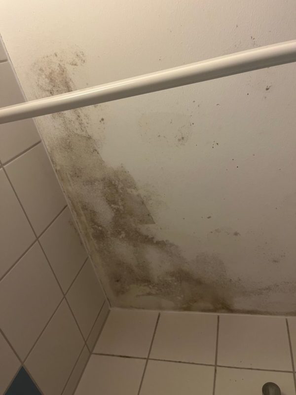 Bild #5 von Sanoosi