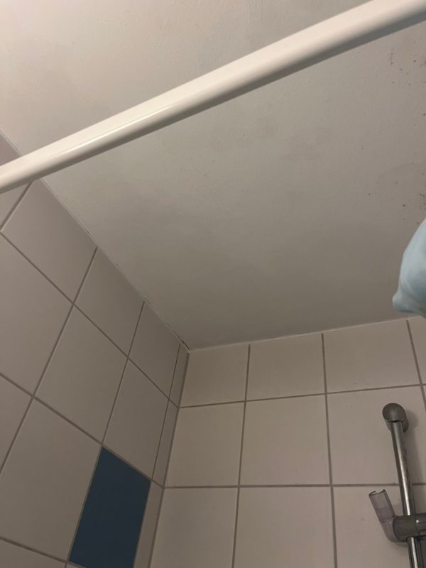 Bild #6 von Sanoosi