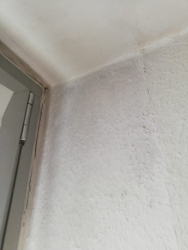 Bild #1 von Kerstin