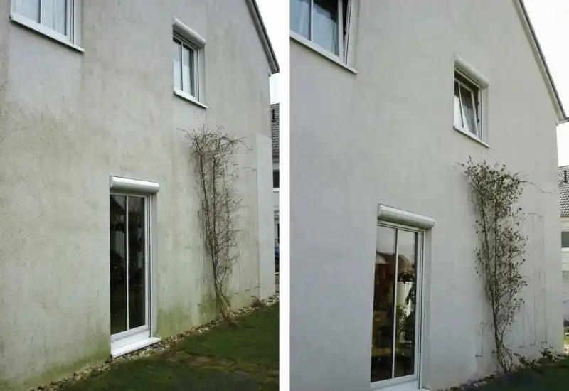 Mit Algen befallene weiße Hauswand vor der Behandlung mit AGO Quart