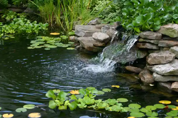Klarer, algenfreier Gartenteich
